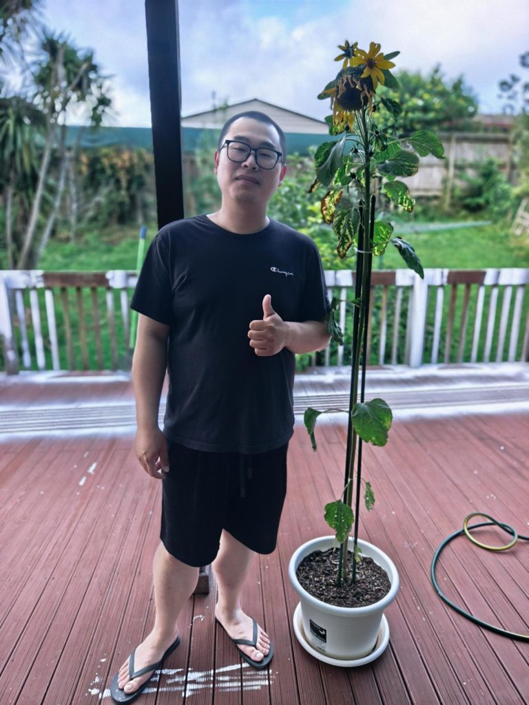The Tallest Sunflower Results - KWC